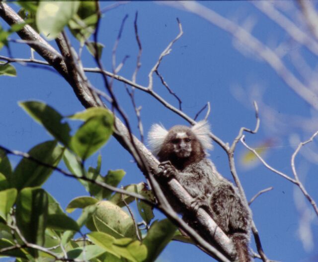 Descriptive alt text for image 1