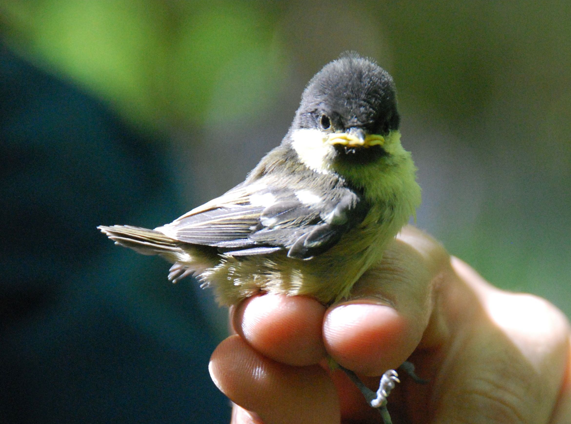 Descriptive alt text for image 1